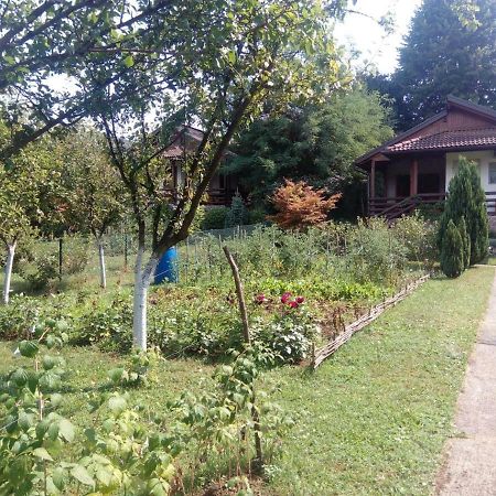 Sunny Paradise Bihac Bagian luar foto