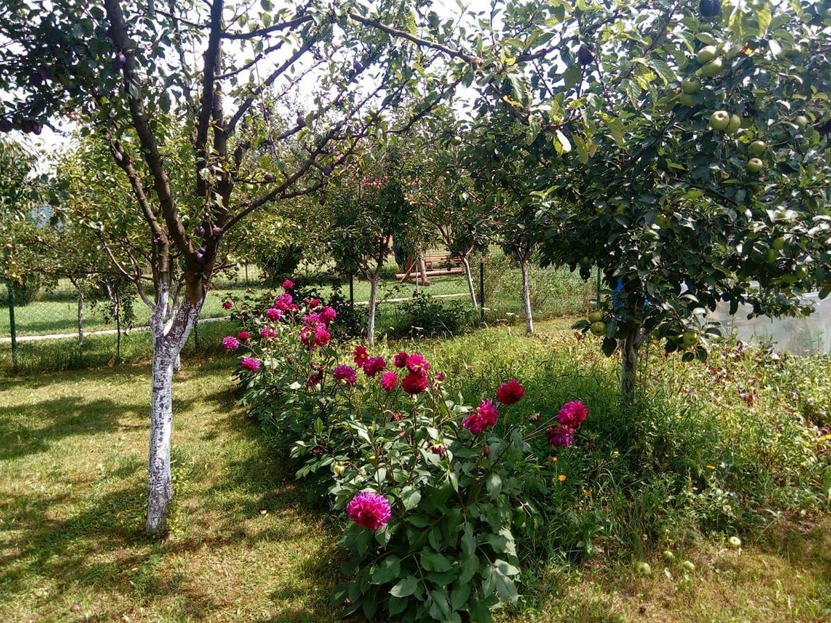 Sunny Paradise Bihac Bagian luar foto
