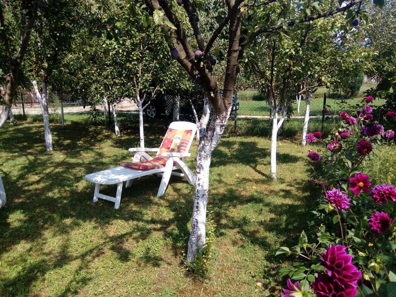 Sunny Paradise Bihac Bagian luar foto