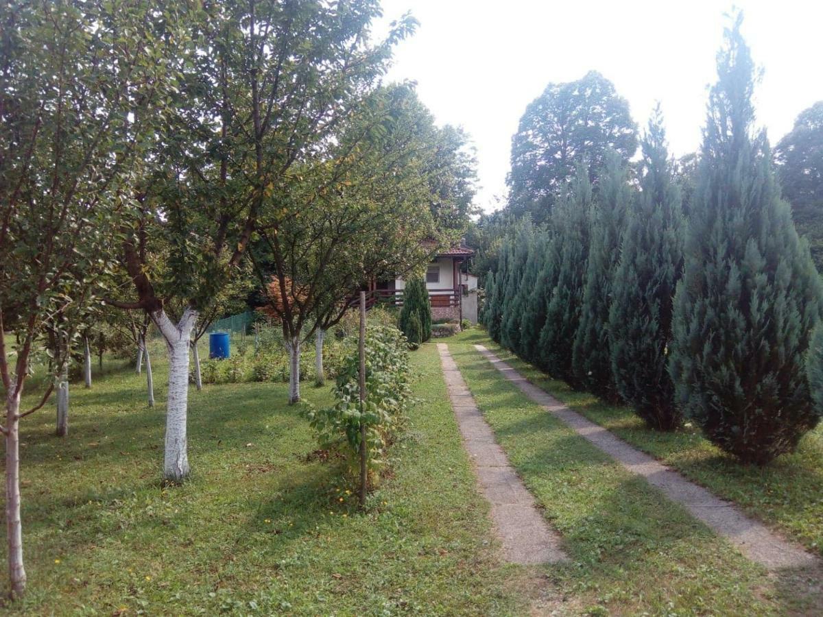 Sunny Paradise Bihac Bagian luar foto